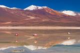 Laguna Blanca, Bolivia